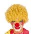 Blonde Color Curly Afro Bonus Wig Hair Extensions and Red Nose Set