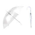 Transparent Umbrella