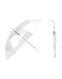 Transparent Umbrella