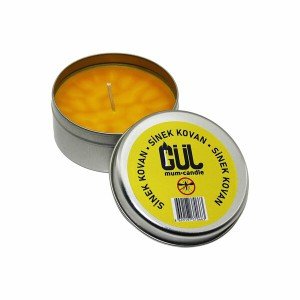 Fly Hive Candle