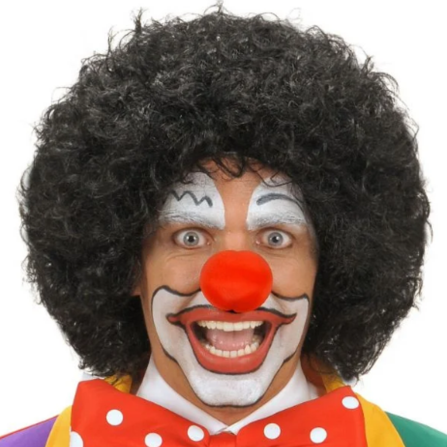 Black Color Curly Afro Bonus Wig Hair and Red Sponge Nose Set