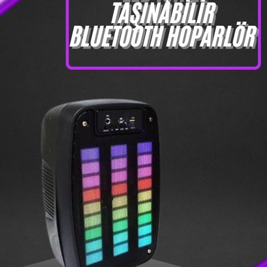 Portable 6.5 inch LED Bluetooth Kareoke Speaker with RGB Light Radio Portable 6.5 inch LED Bluetooth Kareoke Speaker with RGB Light Radio