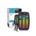 Portable 6.5 inch LED Bluetooth Kareoke Speaker with RGB Light Radio Portable 6.5 inch LED Bluetooth Kareoke Speaker with RGB Light Radio
