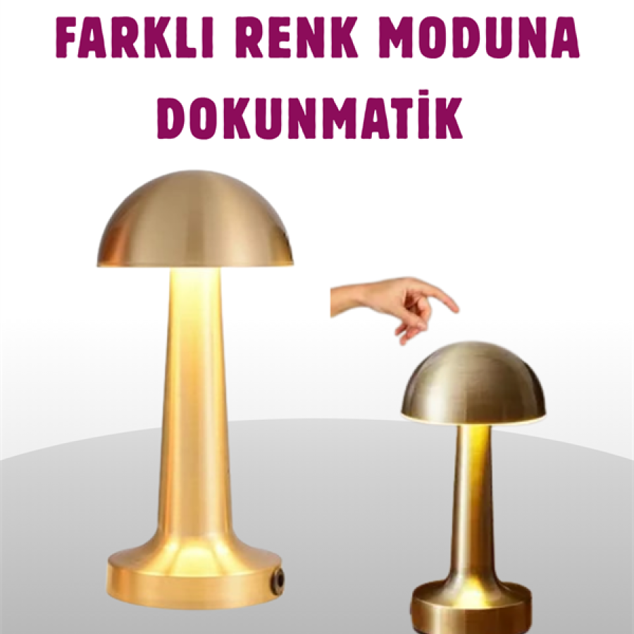 Portable Touch LED Lamp – Warm & Cold Light Adjustment