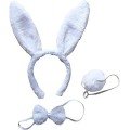Rabbit Costume Set Crown Bow Tie Tail White Color Rabbit Costume Set Crown Bow Tie Tail White Color