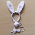 Rabbit Costume Set Crown Bow Tie Tail White Color Rabbit Costume Set Crown Bow Tie Tail White Color