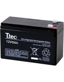 12V 9 AH Dry Maintenance-Free Battery