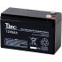 12V 9 AH Dry Maintenance-Free Battery