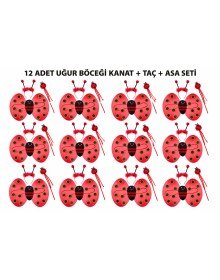 Ladybug Costume Set - Wing Crown Wand 3 Pieces 12 Pieces