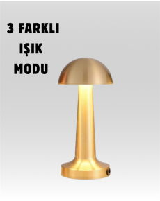 100% Adjustable Light – USB Rechargeable Desk Lamp 100% Adjustable Light – USB Rechargeable Desk Lamp