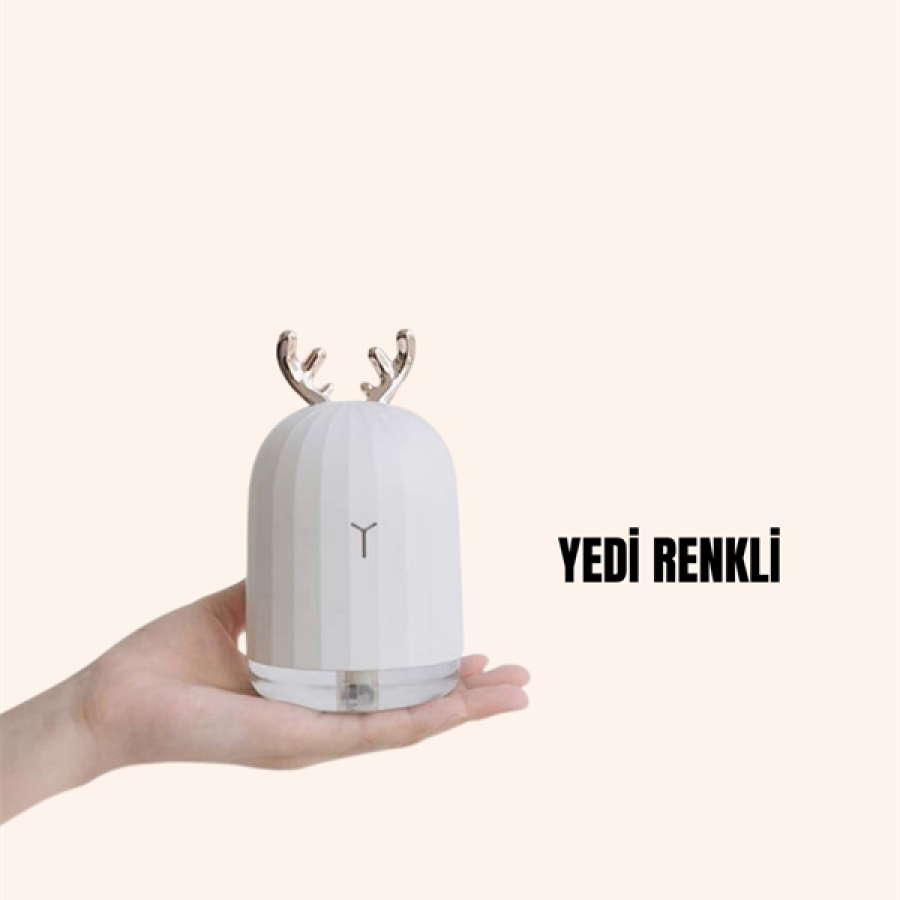 Portable 220ml USB Mist Humidifier with ABS+PP Material