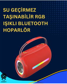 Speaker with USB/SD/AUX Input – 10 W ×2 Dual Drivers