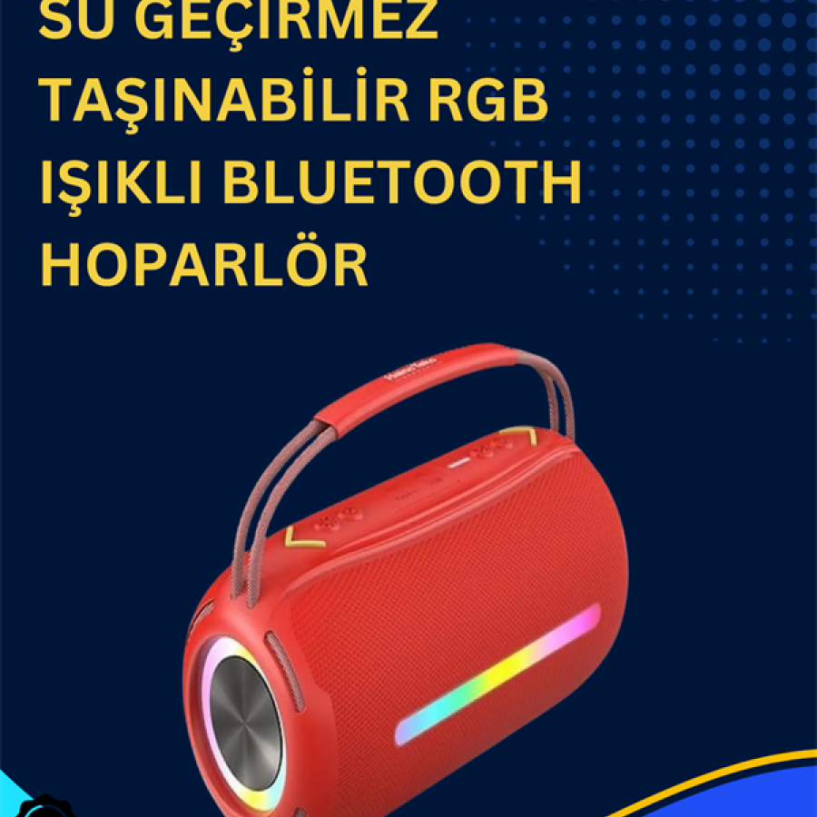 Speaker with USB/SD/AUX Input – 10 W ×2 Dual Drivers