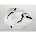 V For Vendetta Mask