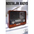 Nostalgic Radio with USB, AUX and SD Card Input, Bluetooth Connection