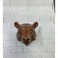 BROWN BEAR
