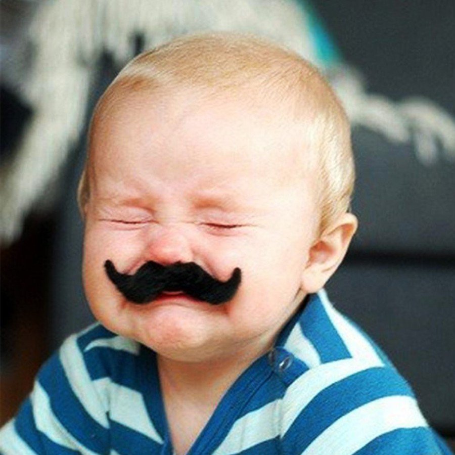Adhesive Fake Mustache 6 Models 12 Pieces Set Adhesive Fake Mustache 6 Models 12 Pieces Set