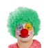 Green Color Curly Afro Bonus Wig Hair Extensions and Red Nose Set