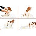 Washable Dog Pee Pad - 100 X 100 Cm Washable Dog Pee Pad - 100 X 100 Cm
