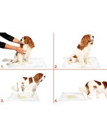 Washable Dog Pee Pad - 100 X 100 Cm Pack of 5