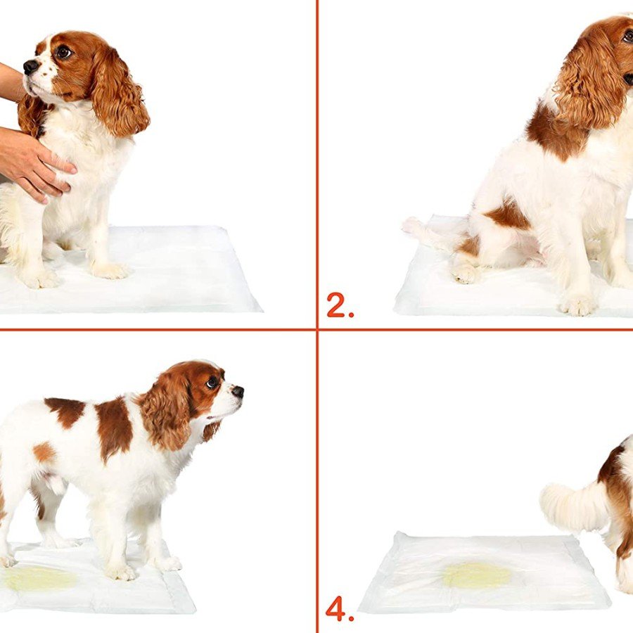 Washable Dog Pee Pad - 100 X 100 Cm Pack of 5