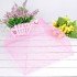 Food Protective Mosquito Net Umbrella