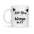 Are You Kitten Me? Written Cat Themed Porcelain Mug MODEL 58 Cute Design, Coffee & Tea Cup