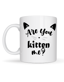 Are You Kitten Me? Written Cat Themed Porcelain Mug MODEL 58 Cute Design, Coffee & Tea Cup