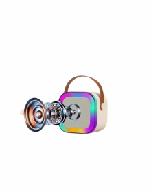 Multifunctional Karaoke Speaker with Bluetooth, USB and AUX Input